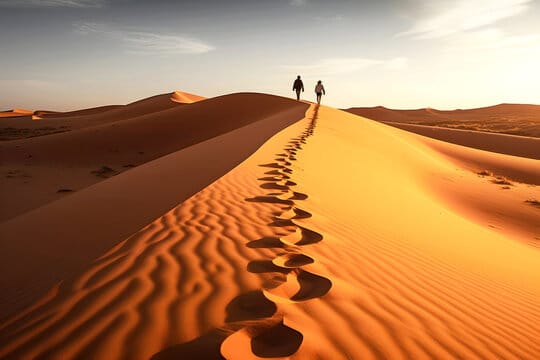 Neuroplasticity & Stress: Rewiring Your Brain for Calm and Resilience